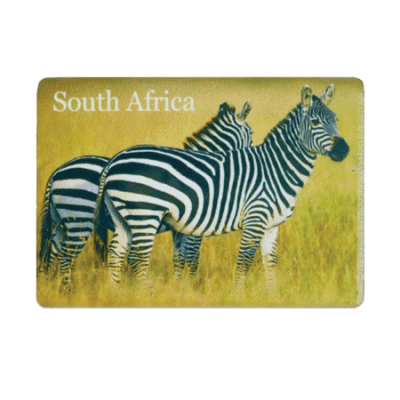 Ceramic Fridge Magnet - South Africa - Zebra