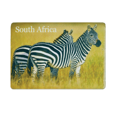 Ceramic Fridge Magnet - South Africa - Zebra
