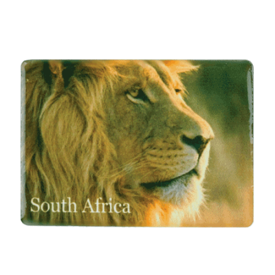 Ceramic Fridge Magnet - South Africa - Lion