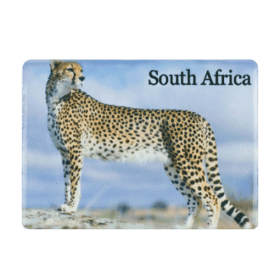 Ceramic Fridge Magnet - South Africa - Cheetah
