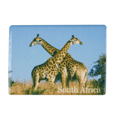 Ceramic Fridge Magnet - South Africa - Giraffe