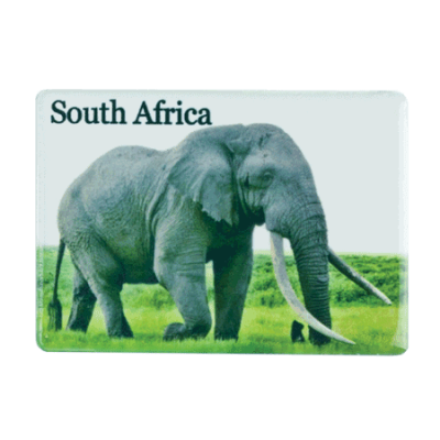 Ceramic Fridge Magnet - South Africa - Elephant