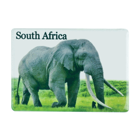 Ceramic Fridge Magnet - South Africa - Elephant