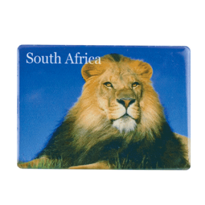 Ceramic Fridge Magnet - South Africa - Lion Blue Sky