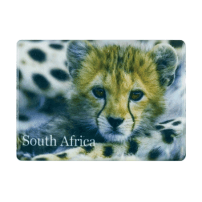 Ceramic Fridge Magnet - South Africa - Cheetah Cub