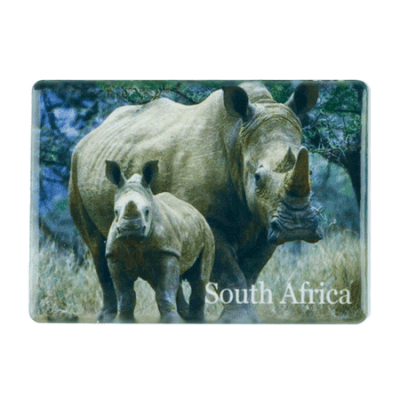 Ceramic Fridge Magnet - South Africa - Rhino