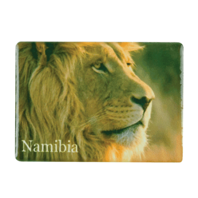 Ceramic Fridge Magnet - Namibia - Lion