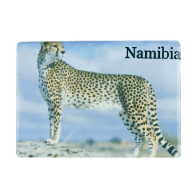 Ceramic Fridge Magnet - Namibia - Cheetah