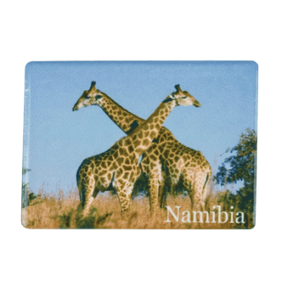 Ceramic Fridge Magnet - Namibia - Giraffe