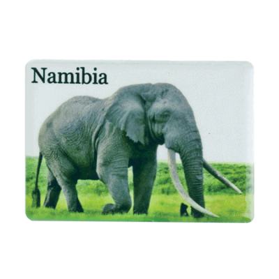 Ceramic Fridge Magnet - Namibia - Elephant