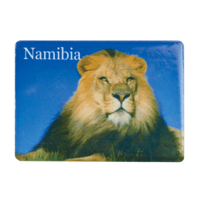 Ceramic Fridge Magnet - Namibia - Lion Blue Sky