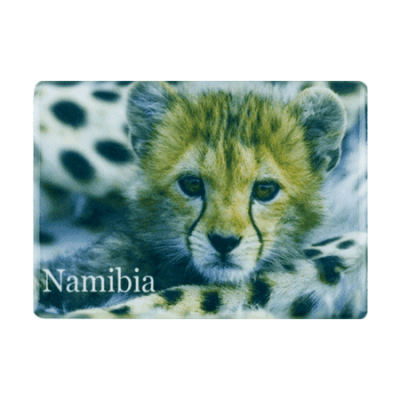 Ceramic Fridge Magnet - Namibia - Cheetah Cub