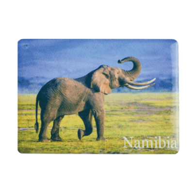 Ceramic Fridge Magnet - Namibia - Elephant Savannah/Blue Sky