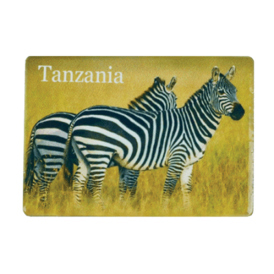 Ceramic Fridge Magnet - Tanzania - Zebra