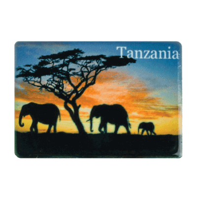 Ceramic Fridge Magnet - Tanzania - Elephant Red Sky