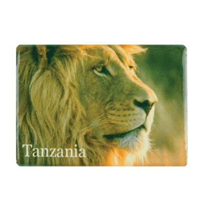 Ceramic Fridge Magnet - Tanzania - Lion