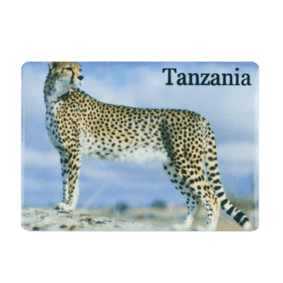 Ceramic Fridge Magnet - Tanzania - Cheetah