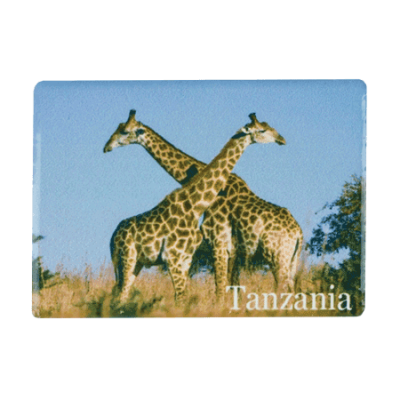 Ceramic Fridge Magnet - Tanzania - Giraffe