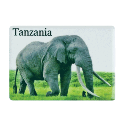 Ceramic Fridge Magnet - Tanzania - Elephant