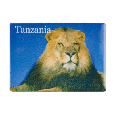 Ceramic Fridge Magnet - Tanzania - Lion Blue Sky