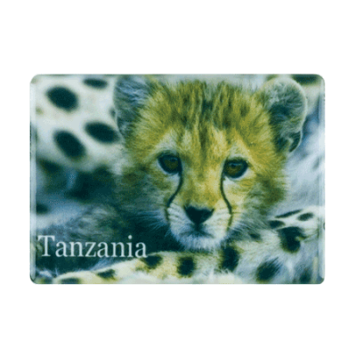 Ceramic Fridge Magnet - Tanzania - Cheetah Cub