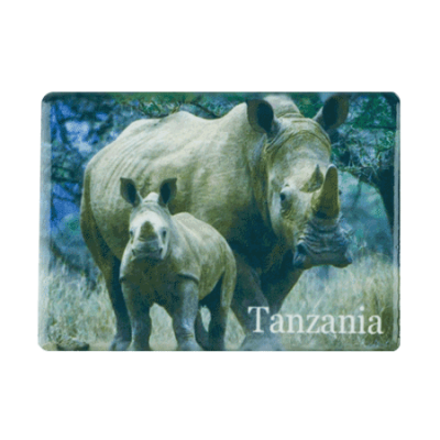 Ceramic Fridge Magnet - Tanzania - Rhino
