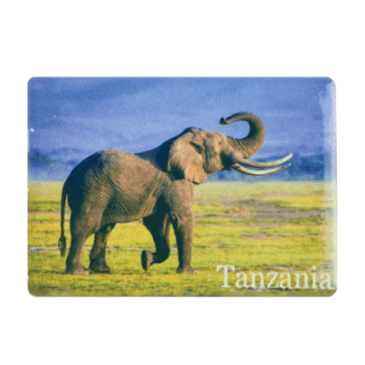 Ceramic Fridge Magnet - Tanzania - Elephant Savannah/Blue Sky