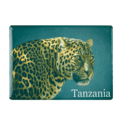 Ceramic Fridge Magnet - Tanzania - Leopard