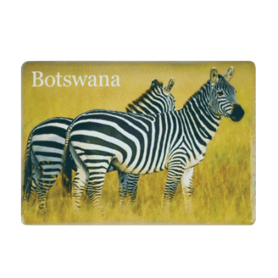 Ceramic Fridge Magnet - Botswana - Zebra