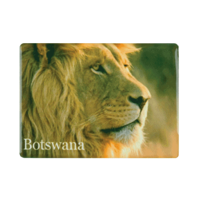 Ceramic Fridge Magnet - Botswana - Lion