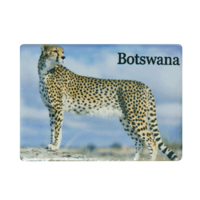 Ceramic Fridge Magnet - Botswana - Cheetah