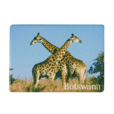 Ceramic Fridge Magnet - Botswana - Giraffe
