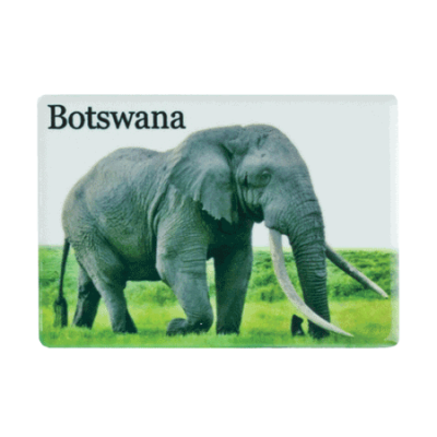 Ceramic Fridge Magnet - Botswana - Elephant