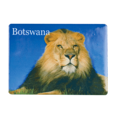 Ceramic Fridge Magnet - Botswana - Lion Blue Sky