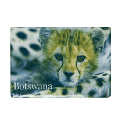 Ceramic Fridge Magnet - Botswana - Cheetah Cub