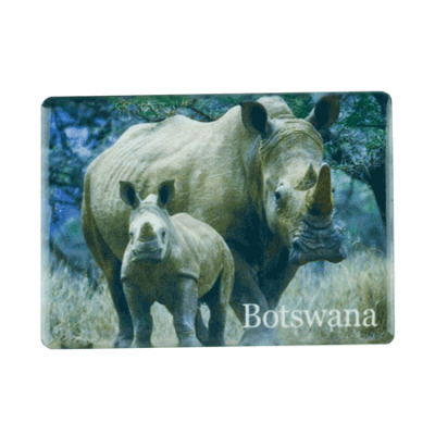Ceramic Fridge Magnet - Botswana - Rhino