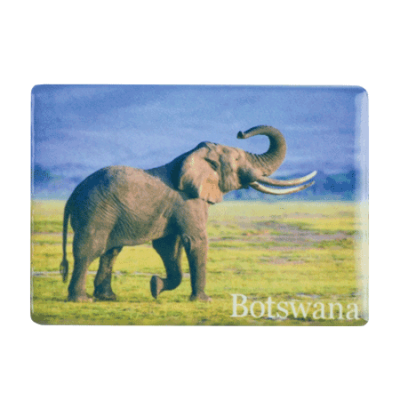 Ceramic Fridge Magnet - Botswana - Elephant Savannah/Blue Sky