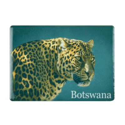 Ceramic Fridge Magnet - Botswana - Leopard
